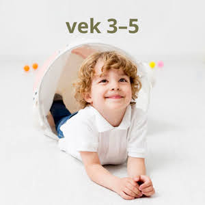 Vek sk - 4